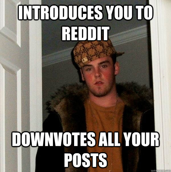 Introduces you to Reddit Downvotes all your posts  Scumbag Steve