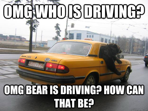 OMG who is driving? omg bear is driving? how can that be? - OMG who is driving? omg bear is driving? how can that be?  cokeless bear