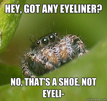 Hey, got any eyeliner? No, that's a shoe, not eyeli-  Misunderstood Spider