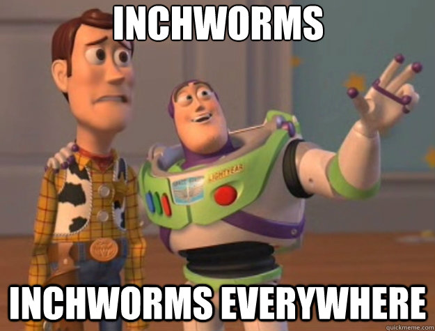 Inchworms inchworms everywhere  Toy Story