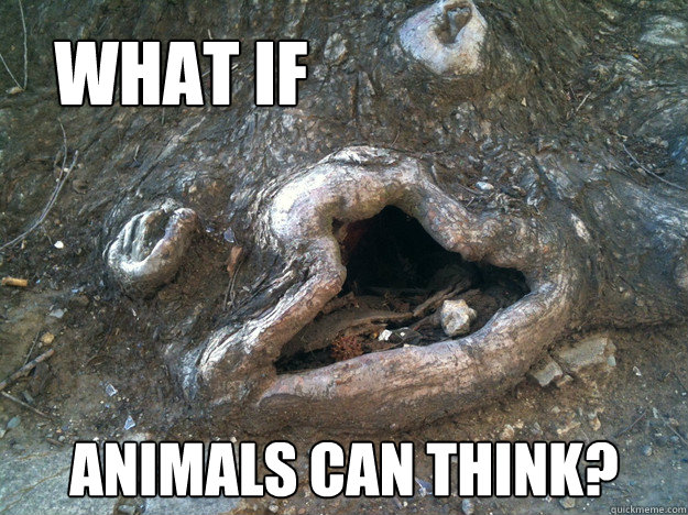 What if  animals can think? - What if  animals can think?  Misc