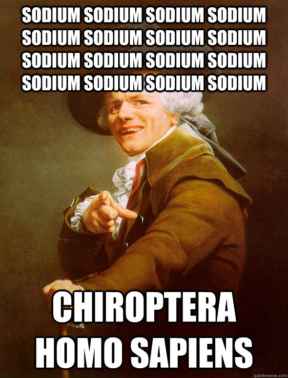 Sodium sodium sodium sodium sodium sodium sodium sodium sodium sodium sodium sodium sodium sodium sodium sodium Chiroptera homo sapiens - Sodium sodium sodium sodium sodium sodium sodium sodium sodium sodium sodium sodium sodium sodium sodium sodium Chiroptera homo sapiens  Joseph Ducreux