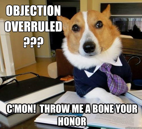 Objection 
overruled??? C'mon!  Throw me a bone your honor  Lawyer Dog