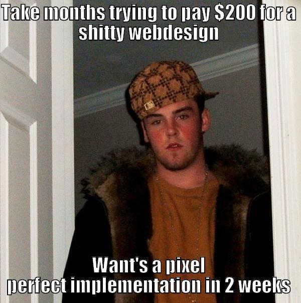 TAKE MONTHS TRYING TO PAY $200 FOR A SHITTY WEBDESIGN WANT'S A PIXEL PERFECT IMPLEMENTATION IN 2 WEEKS Scumbag Steve