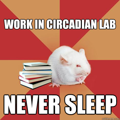 WORK IN CIRCADIAN LAB NEVER SLEEP - WORK IN CIRCADIAN LAB NEVER SLEEP  Science Major Mouse