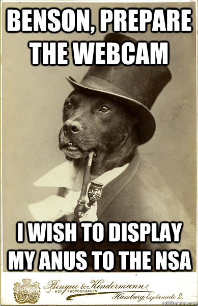 Benson, prepare the webcam I wish to display my anus to the NSA  Old Money Dog