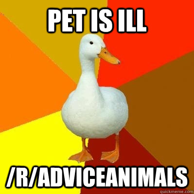 Pet Is ill /r/adviceanimals  Tech Impaired Duck