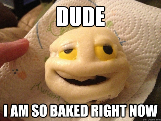 dude i am so baked right now - dude i am so baked right now  Misc