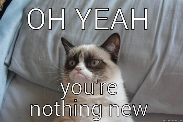 OH YEAH YOU'RE NOTHING NEW Grumpy Cat