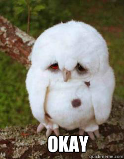  okay -  okay  Sad Owl