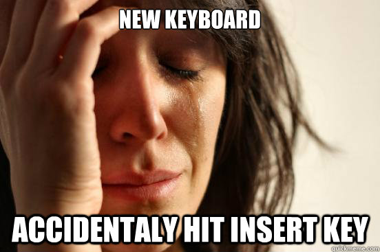 new keyboard accidentaly hit insert key  First World Problems