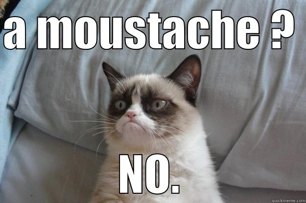 A MOUSTACHE ? NO. Grumpy Cat