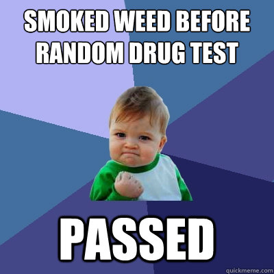 Smoked weed before random drug test passed - Smoked weed before random drug test passed  Success Kid