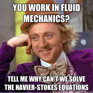 You work in fluid mechanics? Tell me why can't we solve the Navier-Stokes Equations - You work in fluid mechanics? Tell me why can't we solve the Navier-Stokes Equations  Condescending Wonka