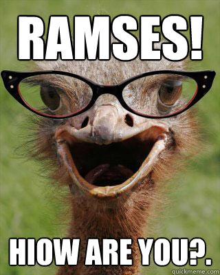 Ramses! hiow Are you?.  Judgmental Bookseller Ostrich