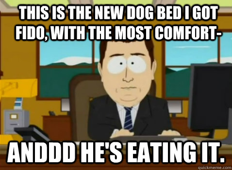 This is the new dog bed I got fido, with the most comfort- anddd he's eating it.  South Park Banker