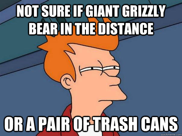 not sure if giant grizzly bear in the distance Or a pair of trash cans  Futurama Fry