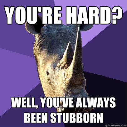 You're hard? well, you've always been stubborn  Sexually Oblivious Rhino