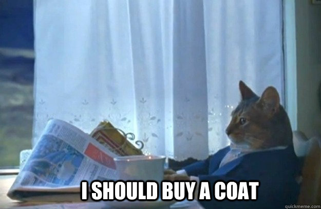       I should buy a coat  Sophisticated Cat