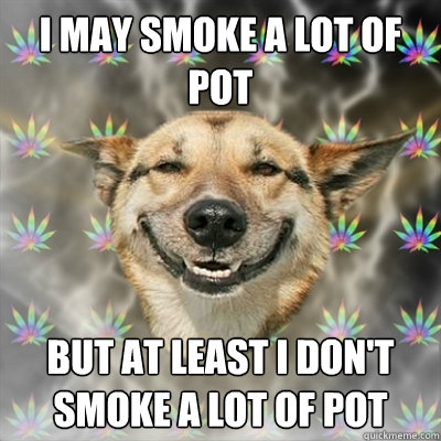 I may smoke a lot of pot But at least I don't smoke a lot of pot  Stoner Dog