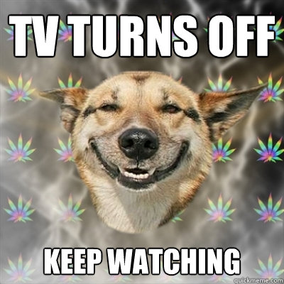 TV turns off keep watching  Stoner Dog