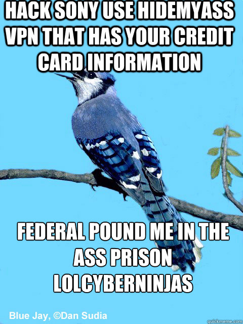 Hack Sony Use hidemyass vpn that has your credit card information Federal pound me in the ass prison
lolcyberninjas  Blue Team Bird