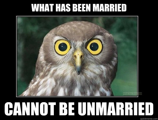 What has been married cannot be unmarried - What has been married cannot be unmarried  What has been married