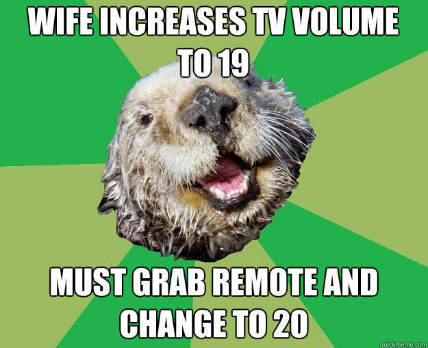 wife increases tv volume to 19 must grab remote and change to 20  