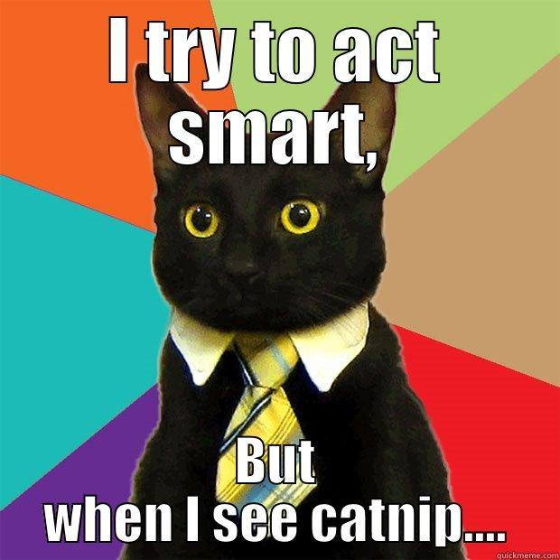 I TRY TO ACT SMART, BUT WHEN I SEE CATNIP.... Business Cat