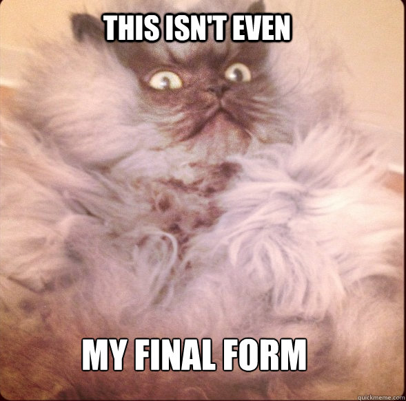 This isn't even my final form  Colonel Meow