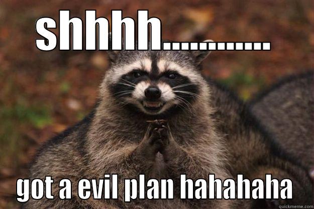 SHHHH............ GOT A EVIL PLAN HAHAHAHA Evil Plotting Raccoon