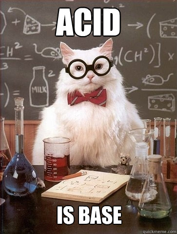 Acid is Base - Acid is Base  Chemistry Cat