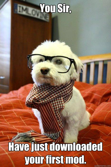 You Sir, Have just downloaded your first mod.  Hipster Dog