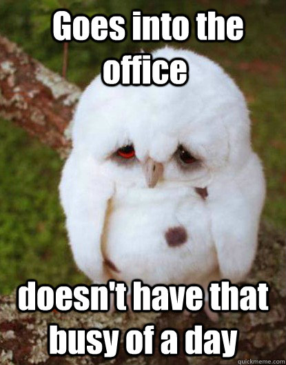  Goes into the office                                                                                                                    doesn't have that busy of a day  Depressed Baby Owl