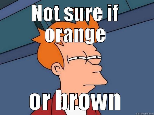 NOT SURE IF ORANGE OR BROWN Futurama Fry