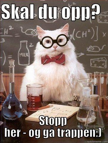 SKAL DU OPP?   STOPP HER - OG GÅ TRAPPEN:) Chemistry Cat