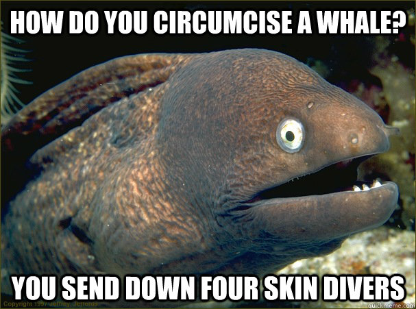 how do you circumcise a whale? you send down four skin divers  Bad Joke Eel