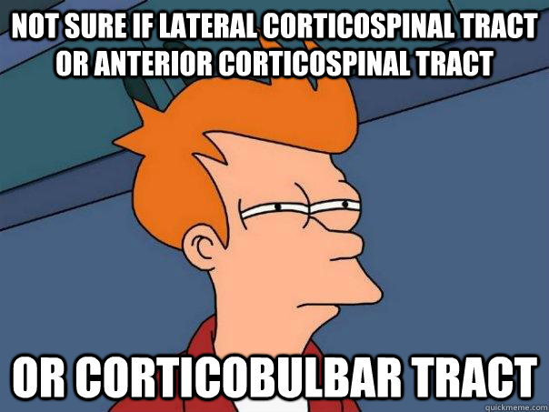 Not sure if lateral corticospinal tract or anterior corticospinal tract or corticobulbar tract  Futurama Fry