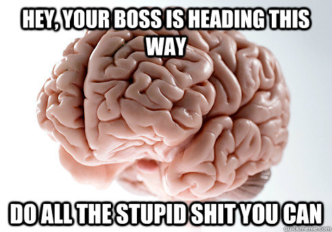 HEY, YOUR BOSS IS HEADING THIS WAY DO ALL THE STUPID SHIT YOU CAN  Scumbag Brain