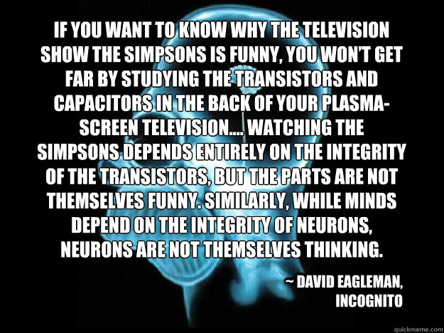 If you want to know why the television show The Simpsons is funny, you won’t get far by studying the transistors and capacitors in the back of your plasma-screen television.… Watching The Simpsons depends entirely on the integrity of the trans - If you want to know why the television show The Simpsons is funny, you won’t get far by studying the transistors and capacitors in the back of your plasma-screen television.… Watching The Simpsons depends entirely on the integrity of the trans  Homer Brain