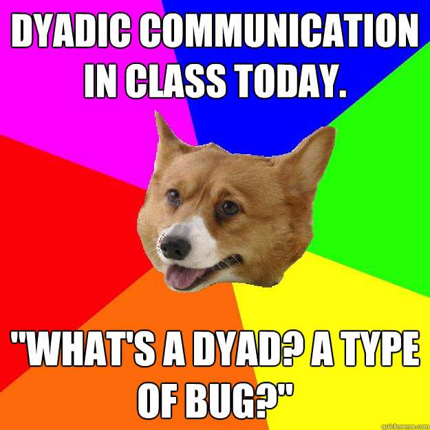 Dyadic Communication in class today.  