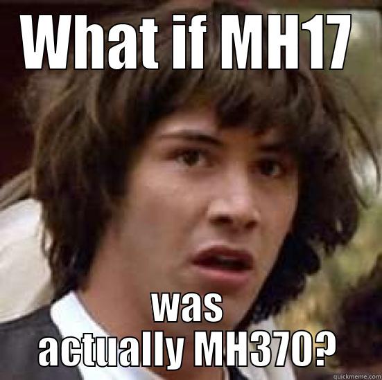 Just Use theFlowerpot - WHAT IF MH17 WAS ACTUALLY MH370? conspiracy keanu