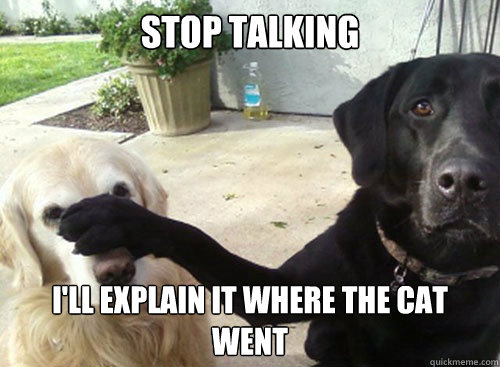 Stop talking I'll explain it where the cat went - Stop talking I'll explain it where the cat went  Explaining Dog