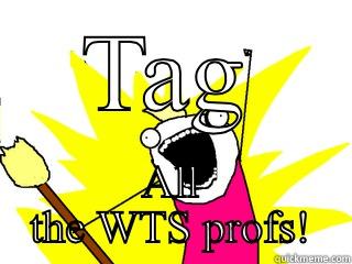 TAG ALL THE WTS PROFS! All The Things