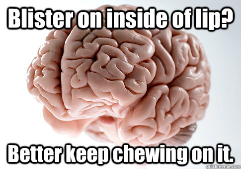 Blister on inside of lip? Better keep chewing on it.   Scumbag Brain