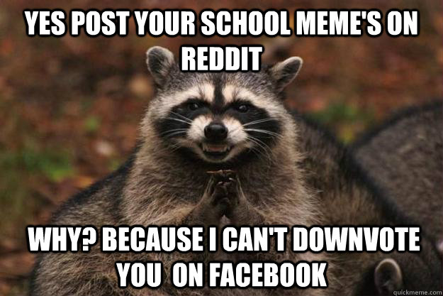 Yes post your school meme's on reddit  Why? because I can't downvote you  on facebook - Yes post your school meme's on reddit  Why? because I can't downvote you  on facebook  Evil Plotting Raccoon