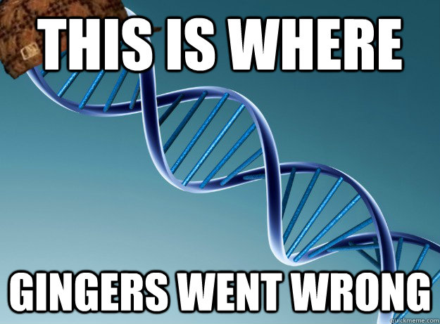 this is where gingers went wrong  Scumbag Genetics