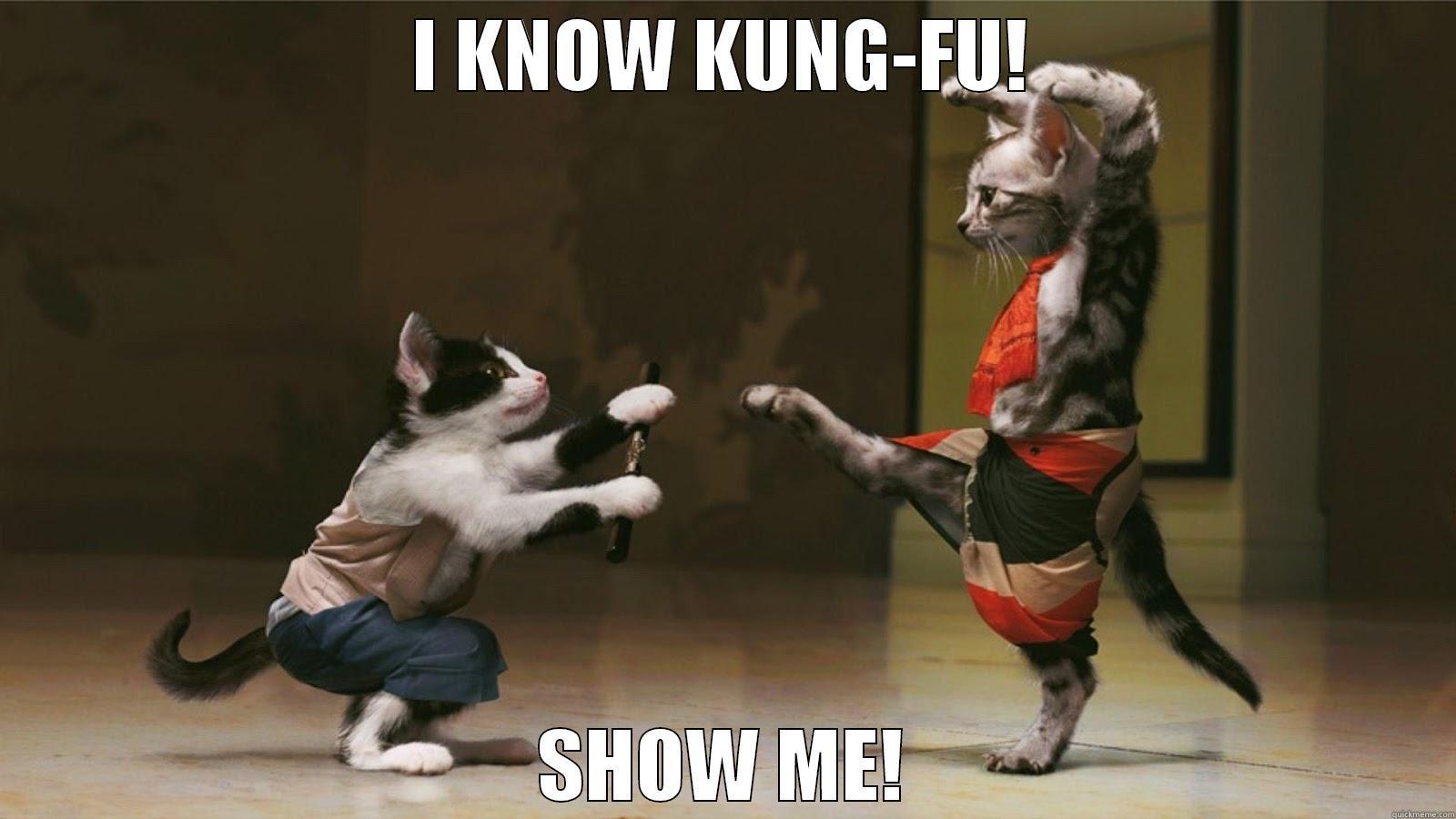 I know Catfu? -    I KNOW KUNG-FU!    SHOW ME! Misc