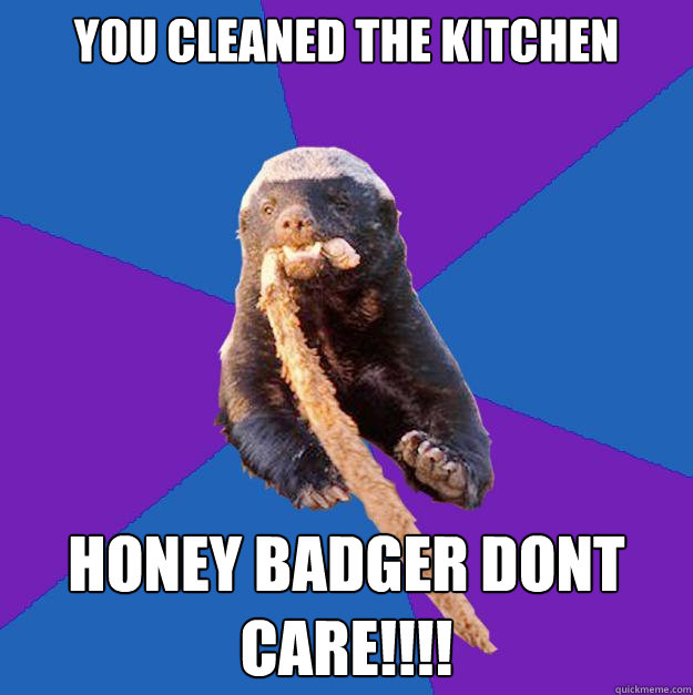 you cleaned the kitchen honey badger dont care!!!!  Honey Badger Dont Care