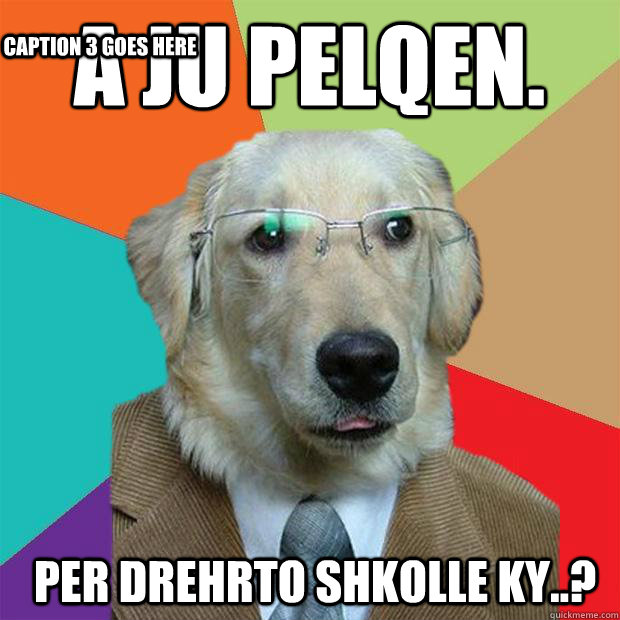 A ju pelqen. per drehrto shkolle ky..? Caption 3 goes here  Business Dog